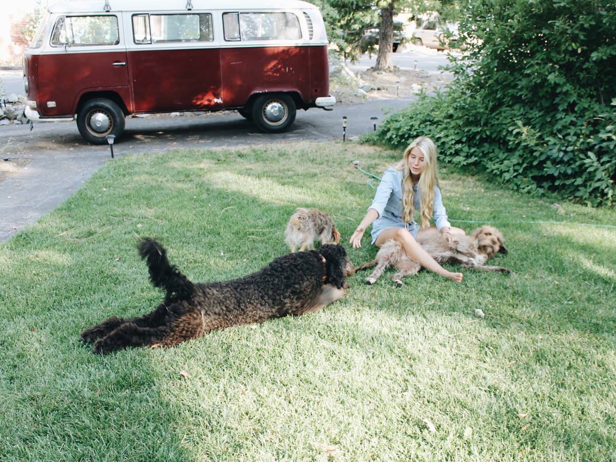 MaddieMastro&Dogs1